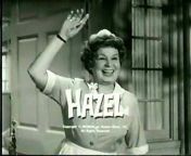 title card to hazel tv series 1961–1966.jpg from hazel tv