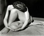 nude 1936 edward weston.jpg from charis nude