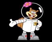 1200px sandy cheeks svg.png from sandy photo
