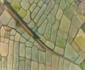 aerial view of agricultural field in sapahar rajshahi state bangladesh aaef14280.jpg from rajshahi xxx videos