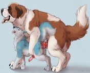 db1c8706aa2eb91e5f817f9ba1fc1d3812605b72 jpg2891079 from saint bernard sex with