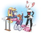 565d1db717b99852c6cae47e4260fb7ec67b0e6a jpg199418 from cartoon tom and jerry xxx