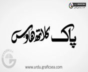 pak cloth house urdu calligraphy.jpg from urdu pak