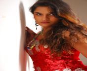 wp5940116.jpg from view full screen indian model ankita in red white saree photoshoot mp4 jpg