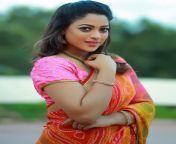 wp8437509.jpg from exclusive photos of south heroine reshmi pics 1 jpg