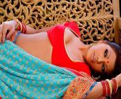 hd wallpaper saree beauty red female exotic indian beautiful woman elegant nice girl figure serene people saree blue.jpg from beautiful desi indian soft figure bhabhi naked video