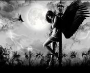 hd wallpaper sad angel sexy angel wings angel hot angel black desolate angel abstract forgotten angel fantasy sad lonely angel night.jpg from Ángel blade