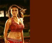 hd wallpaper nayanthara south india model actress tamil actress queen beauty tamil slim.jpg from tamil actress ninedara nude very sexy still photosxx sex moti