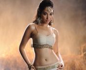 hd wallpaper tamanna bhatia bhatia tamil actress tamanna.jpg from tamil actress thamana xx
