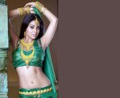 hd wallpaper shreya south india model actress tamil actress queen beauty tamil slim.jpg from tamil actress shreya sex vidwww bangla sex video comলা দেশ ঢাকা বিশ্ববিদ্যলয কলেজের মেযে দের xxxxxindia s