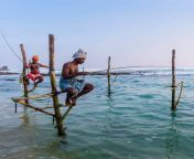 stilt fisherman koggala 992806 500px.jpg from sri lanka school sinhala kees videos download