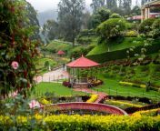 top 20 places to visit in ooty in 2023 that you never miss in lifetime scaled.jpg from ootey