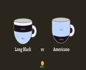 long black vs americano.jpg from black lonq