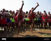 zulu reed dance at enyokeni palace nongoma south africa d8taf9.jpg from zulu tribe ladys