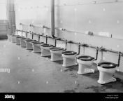 a row of toilets in an army base in the south pacific during world war ii ca 1943 t6adjc.jpg from battlefan toilet