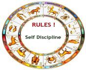 discipline zodiac astrology.jpg from astro rule
