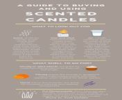 a visual guide to scented candles 1.png from in scent