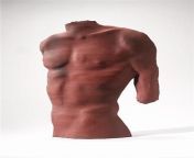 christie brown a flattened male torso form.jpg from flattened male