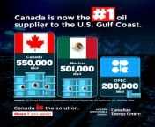 canada no1 supplier to gulf coast 1080x0 c default.jpg from www xxx gulf com canadian sexpot