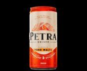 petra 500x500.png from petra png