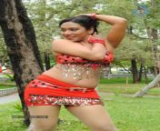 aasami tamil movie hot stills 2407120846 017.jpg from tamil actress shakeela hd hotn village hindi xxx delhiotdian desi randi fuck xxx sexigha