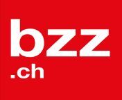 bzz logo druck v1 20170131 01.png from bzz