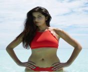 hotness alert this picture of katrina kaif in a sexy red bikini will break the internet.jpg from new katrina kaif ful sexy video com