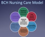 nursing care model 4ae1429baff8c.jpg from nu ing model