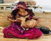 a tribal woman breastfeeding a hungry deer calf.jpg from tribal woman breastfeeding her pet cat
