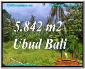 tjub638 jual tanah murah di ubud bali land for sale 1.jpg from 12 inch bali land ki chudai