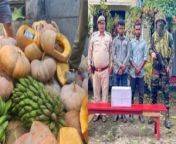 heroin worth rs 84 crore seized in raid soap boxes 300x169.jpg from hidden myanma