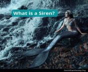 what is a siren 1024x1024.jpg from srien