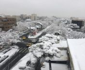 برف در تهران امروز 768x1024.jpg from اخباری امروز افغانستان