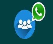 extract whatsapp group contacts.jpg from whatsapp grup