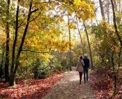 couple walking in forest rgb red leaves.jpg from a walk in the forest staring olga peter rape sex video in fores