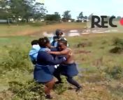 ladies f.jpg from mzansi students fighting in public strip each other naked