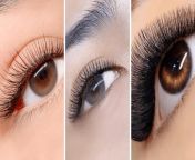 professional eyelash extensions masterclass.jpg from tante vs anak kecil viral