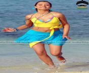 beach babe trisha hot vintage clicks in yellow bikini set 11.jpg from trisha bikini inssia mega