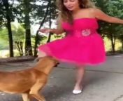 dog kicking girl video apology.jpg from विडियो सेकसी कूता