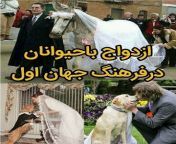 ازدواج انسان ها با حیوانات 4.jpg from سکسی انسان با حیوانات