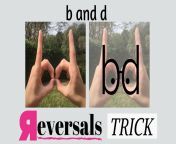 b and d reversals.png from b and