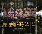 gigolo21.jpg from 鸭王2015movie 3gp download
