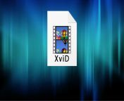 xvid file.png from xivd