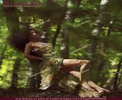 maximimages stock photo mxi29355 sensual erotic portrait of a beautiful half nude sexy young woman lying on a leaning tree trunk.jpg from artistic semi nude photography sexy beautiful 15 jpg