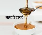 honey.jpg from 16 honey marathi