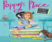 the home made cat cafe poppys place by katrina charman.jpg from katrina cafe xxx moviexx বাংল