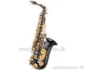 cid 69 j michael al 800b saxophone 400x400 1.jpg from sri lanka sax al