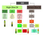 diagrama produccion aceite eng 1.jpg from categories virgin
