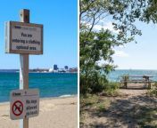a sign for the clothing optional area of hanlan s point beach right a picnic table on the beach jpgid30842601width1000height750coordinates15201520 from nude beach nudist spread voyeur mature granny