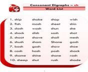consonant digraphs sh 1 600x823.jpg from sh had